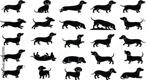 Dachshund Silhouette Set – Sausage Dog Pose Collection Black Vector Icons