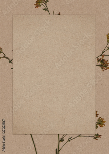 Vintage Background with Pressed Flowers. Craft Paper Texture in Botanical Style. Minimal Composition with Clean Copy Space.