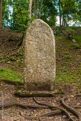 Tableau sur toile Stele or stela depicting a ruler of Caracol with hieroglyphics, Caracol archaeological site, Cayo District, Belize