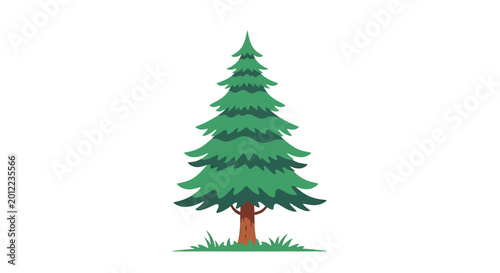 Bild auf Leinwand Green Pine Tree Evergreen Forest Foliage.