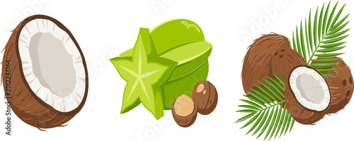 Bild auf Leinwand Tropical Fruit Vector Illustration Set Featuring Whole and Half Coconuts with Pa