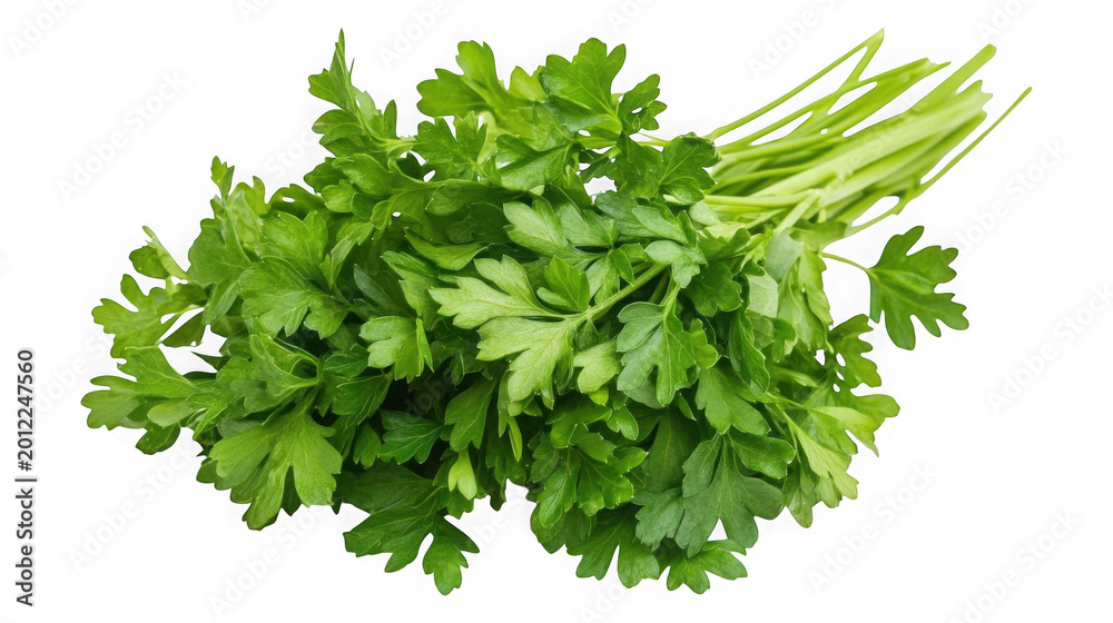 Obraz premium Bunch of fresh parsley leaves on white background