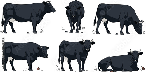 Foto Black Angus Cow and Bull Character Set Featuring Various Poses Like Grazing Stan