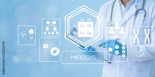 Konstfotografi Scientist analyzing genetic meiosis process with modern medical technology and g