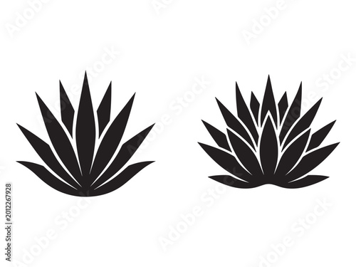 Black agave plant icons  two illustrations of agave plant silhouettes on white background for design and decoration