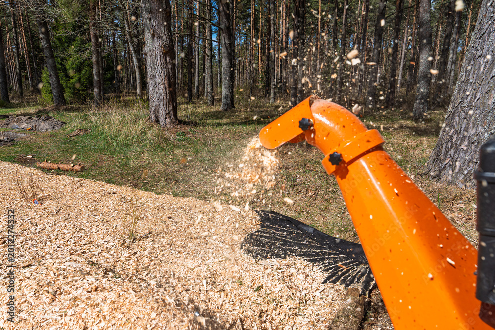 Fototapeta premium An orange wood chipper processes tree branches into mulch, spewing wood chips onto the ground in a forest. This image captures the process of recycling organic waste into valuable.