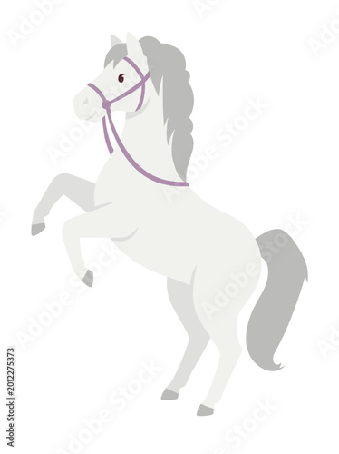 Konstfotografi White horse rearing up confident pose, isolated white background, simple lines, flat colors, detailed mane tail, harness bridle, equine portrait