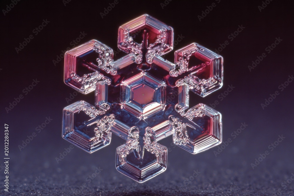 Fototapeta premium Extreme close-up of a detailed snowflake crystal