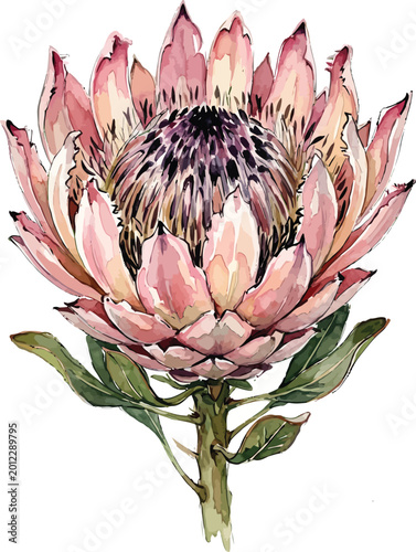 A beautiful pink protea flower blooms in a serene natural environment with green leaves.