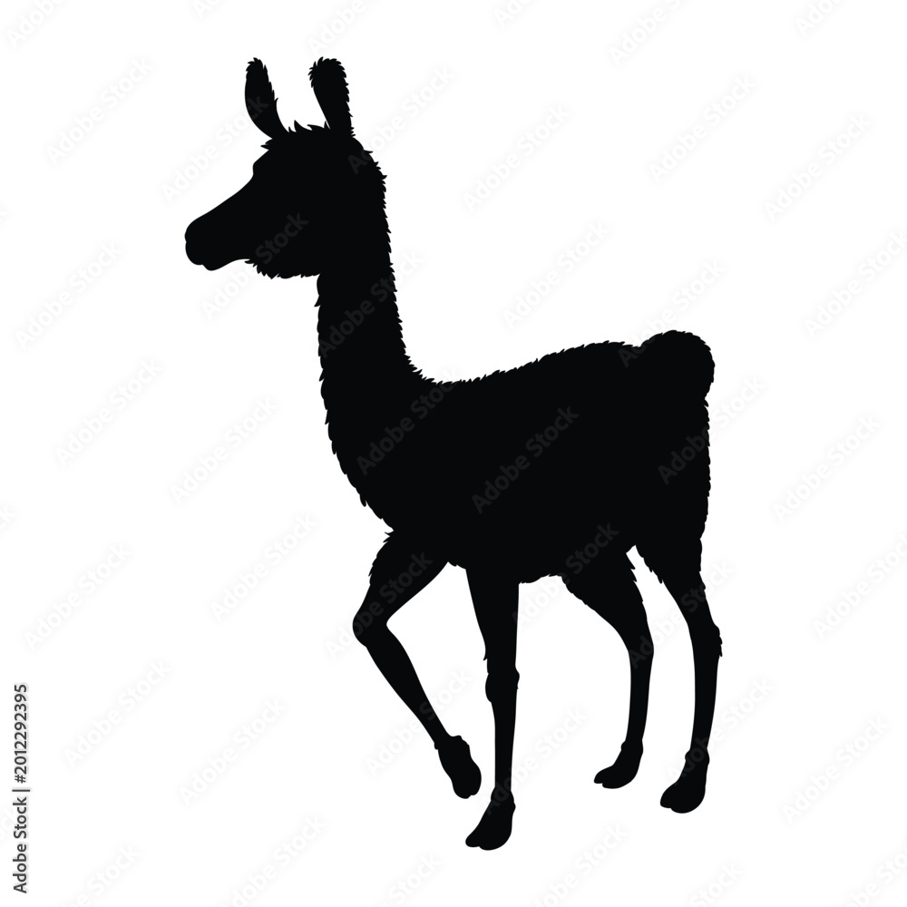 Fototapeta premium Llama Icon Silhouette Vector black design on a white background