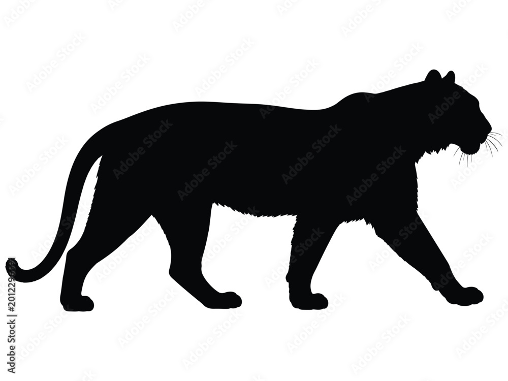 Obraz premium Tiger Silhouette Wild Animal Vector Illustration