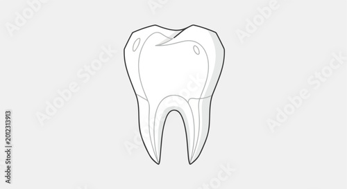 Schilderij op canvas Human Molar Tooth Structure Outline Vector Illustration