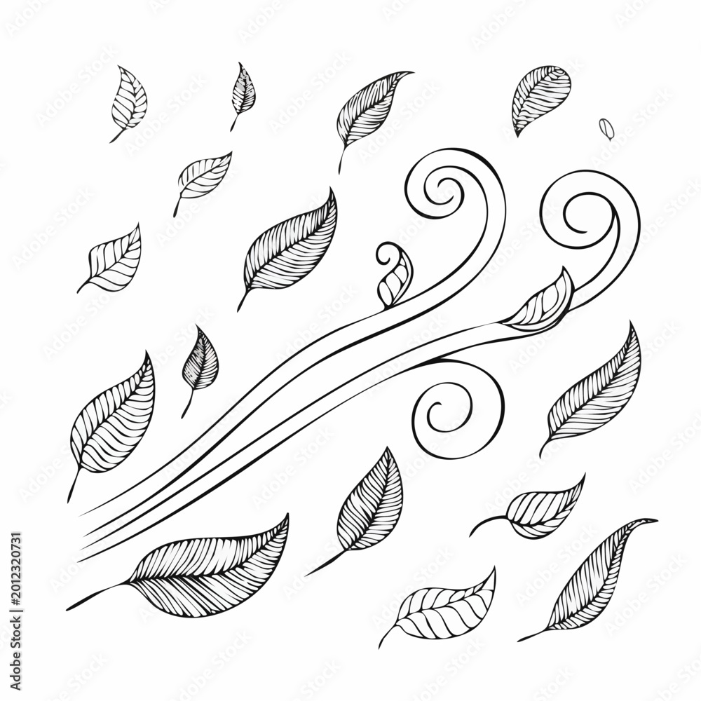 Fototapeta premium Leaves are blown away by a strong gust of wind outdoors.