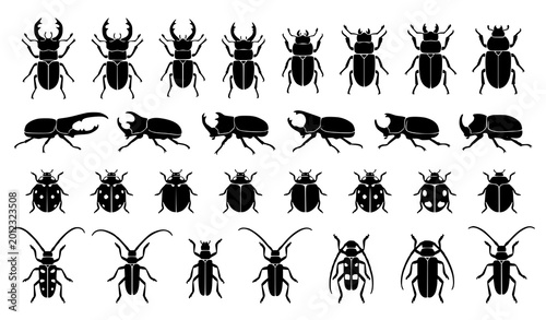 Foto Various beetle silhouettes black insect vector illustration collection set