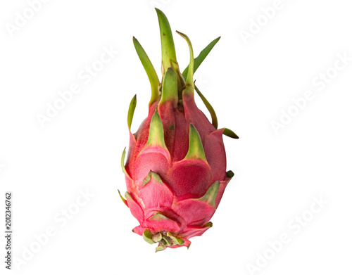 Whole Pink Dragon Fruit Pitaya Isolated