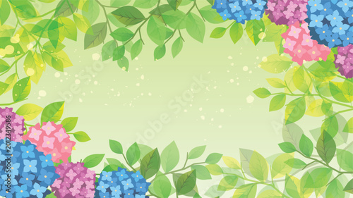Bild auf Leinwand 夏の梅雨　紫陽花背景