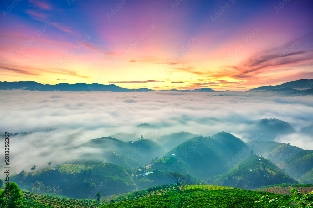 Fototapeta premium A stunning sunrise over the rolling Doi hills in Bao Loc, Vietnam, where a vast sea of clouds blankets the valleys beneath colorful morning skies. 