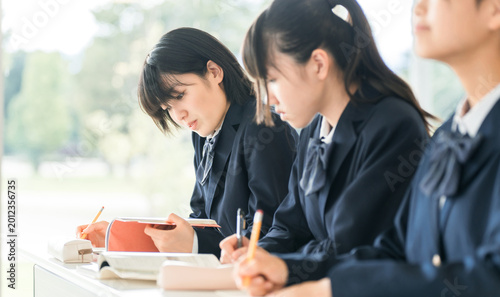 Tableau sur toile Elementary school, middle school, and high school students (female high school students) who take classes together in a school classroom