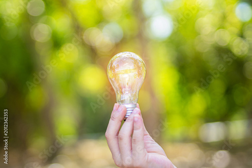 light bulb against nature, icons
