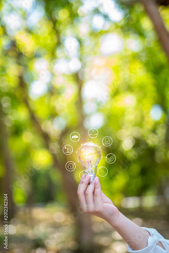 light bulb against nature, icons