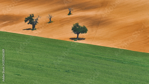 Country landscape with contrasting colors and lines