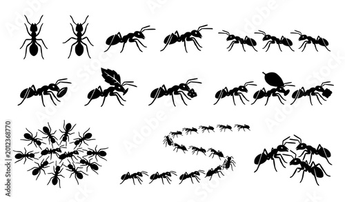 Fotografi Ant insect silhouette bundle black vector colony fauna illustration set