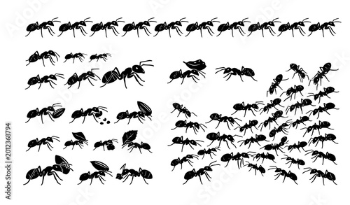 Foto Ant colony silhouettes black vector insect fauna species collection