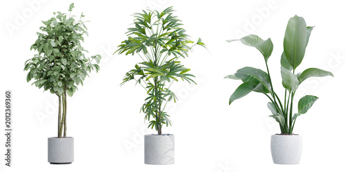 Fotografie Set of realistic green potted houseplants for modern interior design and home de