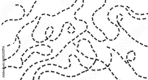 Black ant marching trail vector illustration insect teamwork background design