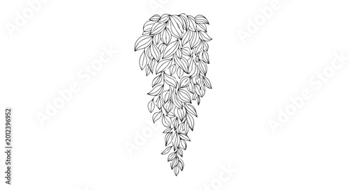 Canvas Print Hand drawn botanical hanging plant vector, black and white line art foliage illu