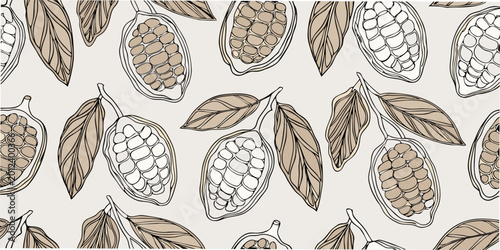 Fotografie Cocoa pod pattern botanical line art illustration on beige background