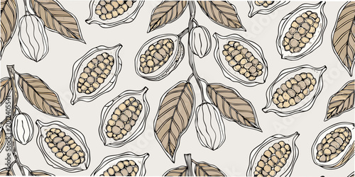 Bild auf Leinwand Cocoa pod illustration botanical line art with beige and brown tones