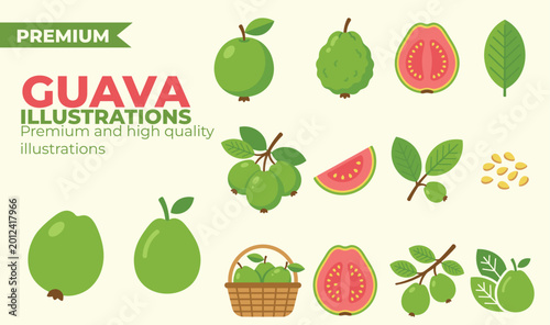 Fresh guava fruit illustration pack with sliced and whole tropical elements
