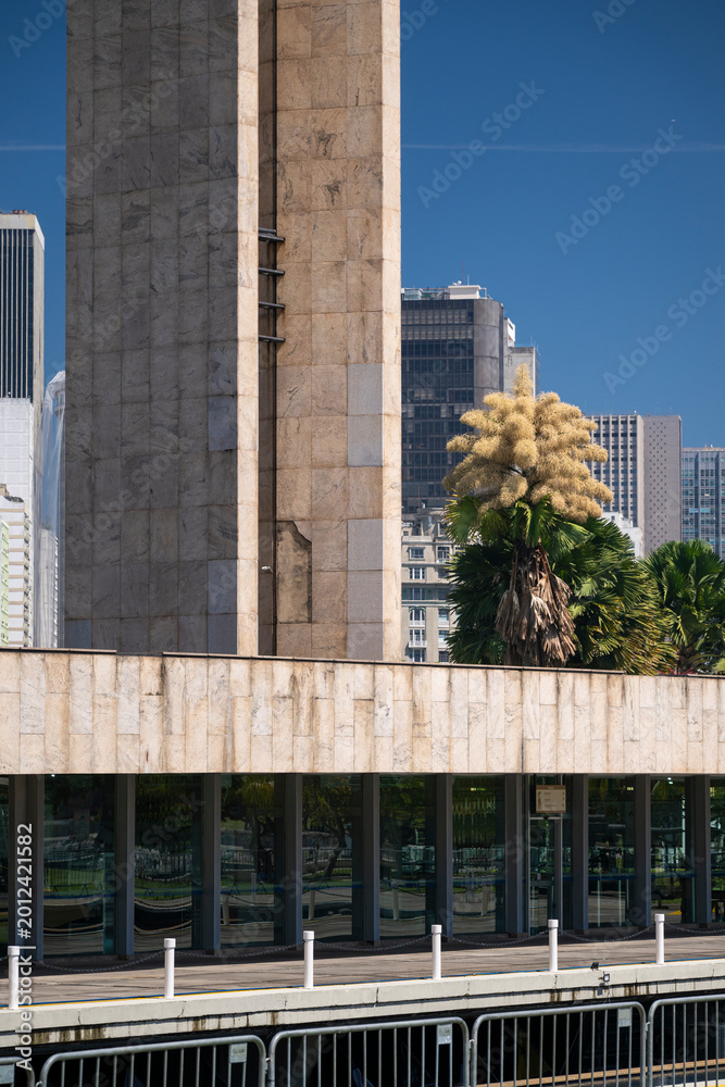Obraz premium Beautiful view to rare flowering of Talipot Palm tree in Flamengo