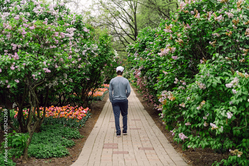 Tableau sur toile Man Walking Down a Brick Path in a Blooming Garden