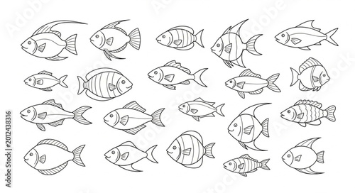 Tableau sur toile School of fish swimming together.