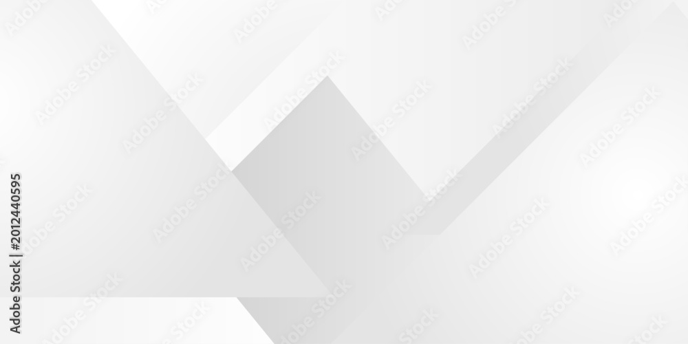 Fototapeta premium Abstract light gray geometric shapes fill the left side, fading to plain white space. White Grey Silver Box Rectangle Abstract Background Vector Presentation Design. Texture with light and shadow .