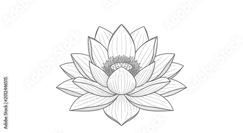 Foto Beautiful Pink Lotus Flower Blooming on Water Surface in a Serene Pond