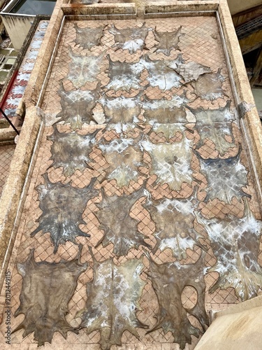 Tannerie à Fès – artisanat traditionnel et savoir-faire marocain