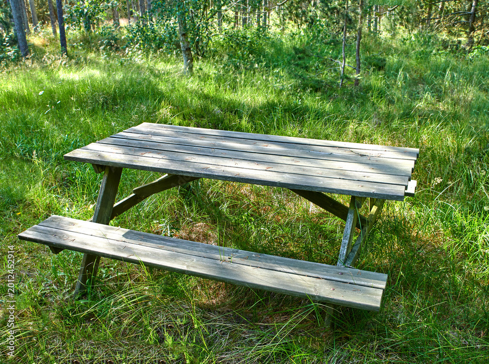 Naklejka premium Trees, grass and wood picnic table in forest with seat, plants and peaceful environment to relax. Nature, outdoor and bench in woods with spring season, growth and natural landscape for serenity.