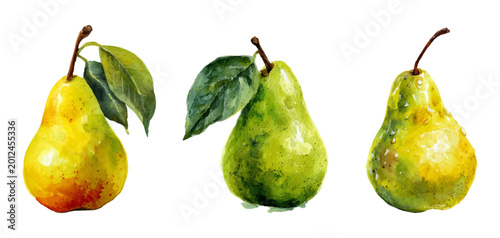 Bild auf Leinwand Watercolor pears with green leaves and stems, vibrant yellow and green fruit ill