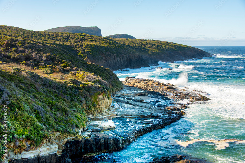 Fototapeta premium Cape Raoul Coast - Tasmania