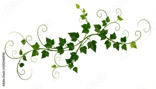 Tropical Jungle Leaf Border with Exotic Green Foliage Isolated on White Background