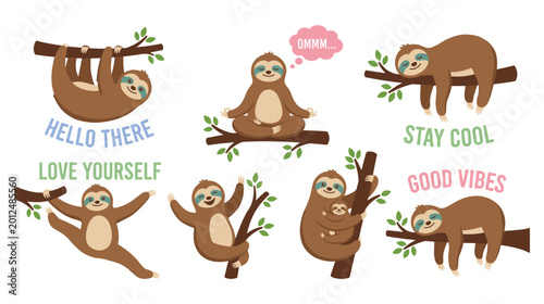 Fotografija Collection of sloths in various relaxed and meditative poses.
