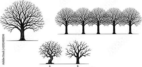 Slika na platnu Collection of black and white winter tree silhouettes featuring a large single oak tree a row of five trees and two smaller labeled varieties