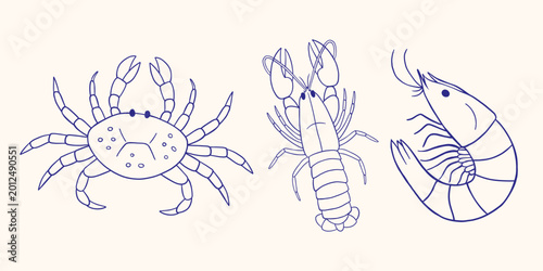 Vector set of cute blue hand drawn outline sketch monochrome doodle seafood character. Crab with big claw, lobster and curled shrimp in mediterranean navy style. Restaurant menu, marine kitchen decor.