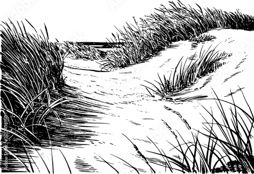 Black and white ink of a sandy path winding through tall dune grasses towards a distant horizon