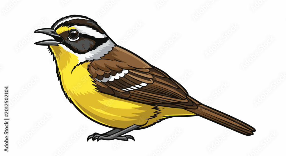 Obraz premium Small yellow and brown bird with black and white head markings
