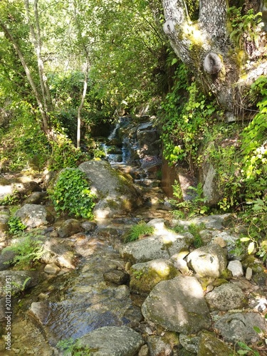 Canvastavla Pequeño arroyo de agua clara fluyendo entre rocas y árboles en un bosque soleado