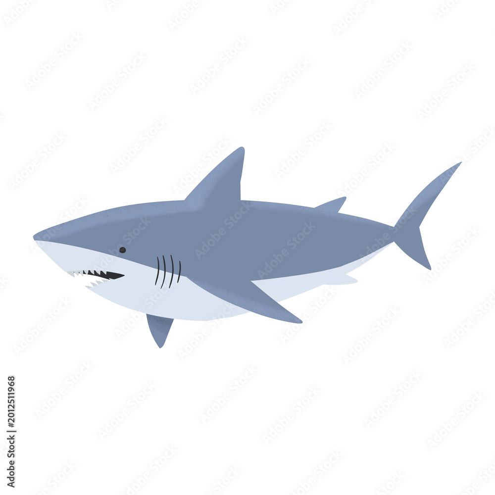 Obraz premium Illustration of a Great White Shark